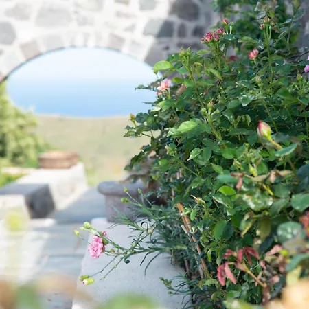 Pavlaina Complex Of Traditional Residences In Nisyros. Enjoy The Garden And The Sea View * Emporeiós