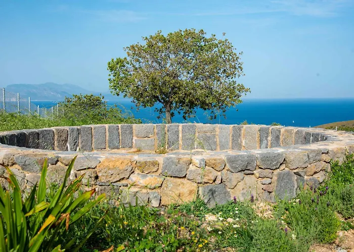 Pavlaina Complex Of Traditional Residences In Nisyros. Enjoy The Garden And The Sea View Διαμέρισμα Εμπορειός