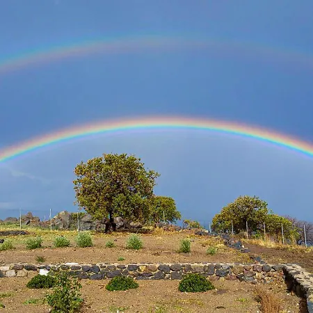 Lejlighed Pavlaina Complex Of Traditional Residences In Nisyros. Enjoy The Garden And The Sea View